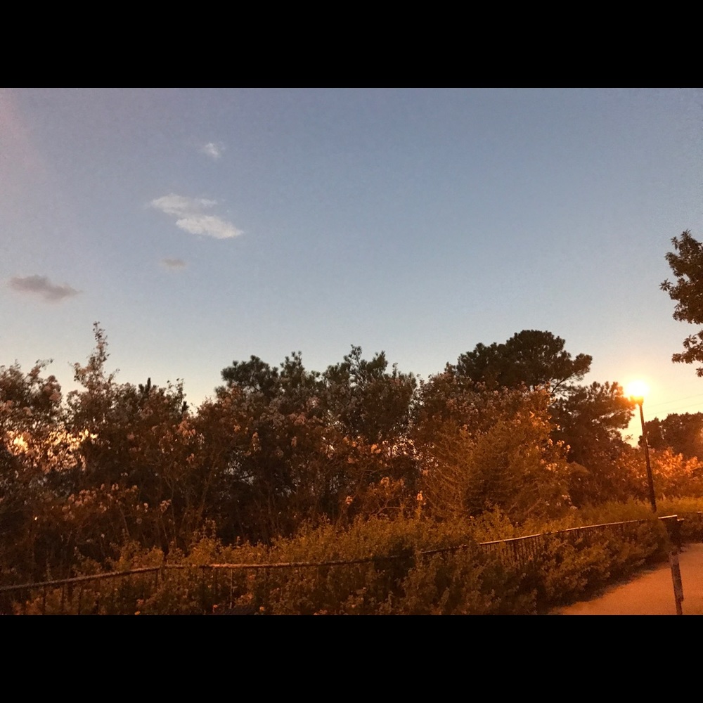 Meet your Posher, Roger